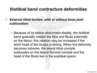 Iliotibial band contracture deformities
• External tibial torsion, with or without knee joint
subluxation:
– Because of its lateral attachment distally, the iliotibial
band gradually rotates the tibia and fibula externally
on the femur; this rotation may be increased if the
short head of the biceps is strong. When the deformity
becomes extreme, the lateral tibial condyle
subluxates on the lateral femoral condyle and the
head of the fibula lies in the popliteal space.
 