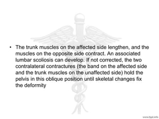 • The trunk muscles on the affected side lengthen, and the
muscles on the opposite side contract. An associated
lumbar scoliosis can develop. If not corrected, the two
contralateral contractures (the band on the affected side
and the trunk muscles on the unaffected side) hold the
pelvis in this oblique position until skeletal changes fix
the deformity
 
