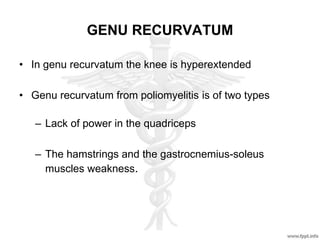 GENU RECURVATUM
• In genu recurvatum the knee is hyperextended
• Genu recurvatum from poliomyelitis is of two types
– Lack of power in the quadriceps
– The hamstrings and the gastrocnemius-soleus
muscles weakness.
 