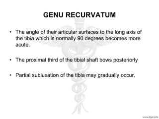 GENU RECURVATUM
• The angle of their articular surfaces to the long axis of
the tibia which is normally 90 degrees becomes more
acute.
• The proximal third of the tibial shaft bows posteriorly
• Partial subluxation of the tibia may gradually occur.
 