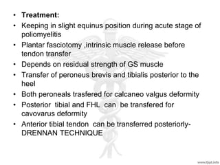 • Treatment:
• Keeping in slight equinus position during acute stage of
poliomyelitis
• Plantar fasciotomy ,intrinsic muscle release before
tendon transfer
• Depends on residual strength of GS muscle
• Transfer of peroneus brevis and tibialis posterior to the
heel
• Both peroneals trasfered for calcaneo valgus deformity
• Posterior tibial and FHL can be transfered for
cavovarus deformity
• Anterior tibial tendon can be transferred posteriorly-
DRENNAN TECHNIQUE
 
