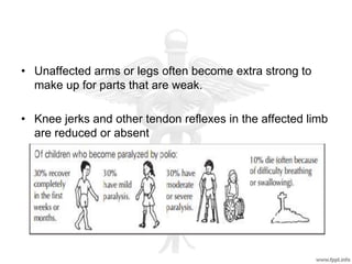 • Unaffected arms or legs often become extra strong to
make up for parts that are weak.
• Knee jerks and other tendon reflexes in the affected limb
are reduced or absent
 