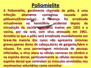 Poliomielite A Poliomielite, geralmente chamada de pólio, é uma infecção altamente contagiosa causada pelo póliovirus(Enterovírus).. A doença foi erradicada virtualmente no hemisfério ocidental depois da introdução da vacina com vírus inativo em 1955 e a vacina, por via oral, com vírus atenuado em 1961. Acredita-se que a pólio será erradicada mundialmente em breve.Na maioria dos casos não apresenta sintomas graves,apenas dores de cabeça,dores de garganta,febre e náusea. Em uma porcentagem minúscula de pessoas infectadas, o vírus ataca as células nervosas no cérebro e na espinha dorsal, particularmente as células nervosas da espinha dorsal que controlam os músculos envolvidos nos movimentos voluntários como caminhar. 