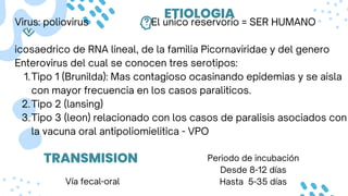 ETIOLOGIA
Virus: poliovirus El unico reservorio = SER HUMANO
icosaedrico de RNA lineal, de la familia Picornaviridae y del genero
Enterovirus del cual se conocen tres serotipos:
Tipo 1 (Brunilda): Mas contagioso ocasinando epidemias y se aisla
con mayor frecuencia en los casos paraliticos.
1.
Tipo 2 (lansing)
2.
Tipo 3 (leon) relacionado con los casos de paralisis asociados con
la vacuna oral antipoliomielitica - VPO
3.
TRANSMISION
Vía fecal-oral
Periodo de incubación
Desde 8-12 días
Hasta 5-35 días
 
