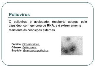 Poliovírus
O poliovírus é avelopado, recoberto apenas pelo
capsídeo, com genoma de RNA, e é extremamente
resistente às condições externas.
Família: Picornaviridae
Gênero: Enterovirus
Espécie: Enterovirus poliovirus
 