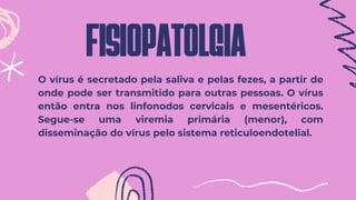 FISIOPATOLGIA
2.
3.
4.
5.
O vírus é secretado pela saliva e pelas fezes, a partir de
onde pode ser transmitido para outras pessoas. O vírus
então entra nos linfonodos cervicais e mesentéricos.
Segue-se uma viremia primária (menor), com
disseminação do vírus pelo sistema reticuloendotelial.
 