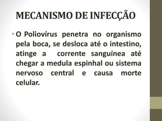 MECANISMO DE INFECÇÃO
•O Poliovírus penetra no organismo
pela boca, se desloca até o intestino,
atinge a corrente sanguínea até
chegar a medula espinhal ou sistema
nervoso central e causa morte
celular.
 