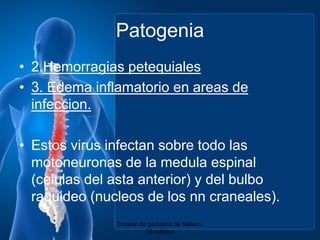 Patogenia2.Hemorragias petequiales3. Edema inflamatorio en areas de infeccion.Estos virus infectansobretodolasmotoneuronas de la medulaespinal (celulas del asta anterior) y del bulboraquideo (nucleos de los nncraneales).Tratado de pediatria de Nelson. 18 edicion