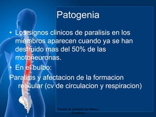 PatogeniaLos signosclinicos de paralisis en los miembrosaparecencuandoya se handestruidomas del 50% de lasmotoneuronas.En el bulbo:Paralisis y afectacion de la formacion reticular (cv de circulacion y respiracion)Tratado de pediatria de Nelson. 18 edicion
