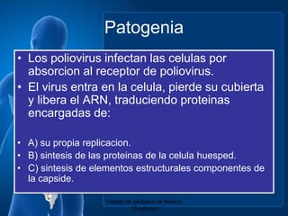 PatogeniaLos poliovirus infectanlascelulasporabsorcion al receptor de poliovirus.El virus entra en la celula, pierdesucubierta y libera el ARN, traduciendoproteinasencargadas de:A) supropiareplicacion.B) sintesis de lasproteinas de la celulahuesped.C) sintesis de elementosestructuralescomponentes de la capside.Tratado de pediatria de Nelson. 18 edicion