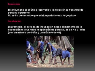 Reservorio
El ser humano es el único reservorio y la infección se transmite de
persona a persona.
No se ha demostrado que existan portadores a largo plazo.

Incubación
En promedio, el período de incubación desde el momento de la
exposición al virus hasta la aparición de parálisis, es de 7 a 21 días
(con un mínimo de 4 días y un máximo de 40).

 