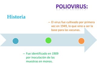 Historia
– Fue identificado en 1909
por inoculación de las
muestras en monos.
– El virus fue cultivado por primera
vez en 1949, lo que vino a ser la
base para las vacunas.
 
