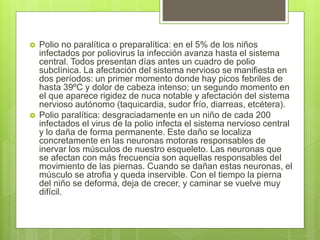  Polio no paralítica o preparalítica: en el 5% de los niños
infectados por poliovirus la infección avanza hasta el sistema
central. Todos presentan días antes un cuadro de polio
subclínica. La afectación del sistema nervioso se manifiesta en
dos períodos: un primer momento donde hay picos febriles de
hasta 39ºC y dolor de cabeza intenso; un segundo momento en
el que aparece rigidez de nuca notable y afectación del sistema
nervioso autónomo (taquicardia, sudor frío, diarreas, etcétera).
 Polio paralítica: desgraciadamente en un niño de cada 200
infectados el virus de la polio infecta el sistema nervioso central
y lo daña de forma permanente. Este daño se localiza
concretamente en las neuronas motoras responsables de
inervar los músculos de nuestro esqueleto. Las neuronas que
se afectan con más frecuencia son aquellas responsables del
movimiento de las piernas. Cuando se dañan estas neuronas, el
músculo se atrofia y queda inservible. Con el tiempo la pierna
del niño se deforma, deja de crecer, y caminar se vuelve muy
difícil.
 