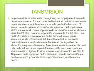 TANSMISIÓN
 La poliomielitis es altamente contagiosa y se propaga fácilmente de
persona a persona. En las zonas endémicas, el poliovirus salvaje es
capaz de infectar prácticamente a toda la población humana. El
tiempo entre la primera exposición y la aparición de los primeros
síntomas, conocido como el período de incubación, es normalmente
entre 6 a 20 días, con una separación máxima de 3 a 35 días. Las
partículas del virus se excretan en las heces durante varias
semanas tras la infección inicial. La enfermedad se transmite
principalmente a través de la ruta fecal-oral, por ingestión de
alimentos o agua contaminada. A veces es transmitida a través de la
ruta oral-oral, un modo especialmente visible en zonas con buen
saneamiento e higiene. El virus es más infeccioso entre los días 7-
10 previos de la aparición de los síntomas, pero la transmisión es
posible siempre y cuando el virus permanece en la saliva o las
heces.
 