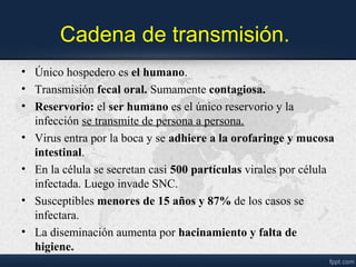 Cadena de transmisión.
• Único hospedero es el humano.
• Transmisión fecal oral. Sumamente contagiosa.
• Reservorio: el ser humano es el único reservorio y la
infección se transmite de persona a persona.
• Virus entra por la boca y se adhiere a la orofaringe y mucosa
intestinal.
• En la célula se secretan casi 500 partículas virales por célula
infectada. Luego invade SNC.
• Susceptibles menores de 15 años y 87% de los casos se
infectara.
• La diseminación aumenta por hacinamiento y falta de
higiene.
 