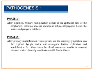 PHASE 1 :
After ingestion, primary multiplication occurs in the epithelial cells of the
oropharynx, intestinal mucosa and also in subjacent lymphoid tissue (the
tonsils and paeyer’s patches).
PHASE 2 :
After primary multiplication, virus spreads via the draining lymphatics into
the regional lymph nodes and undergoes further replication and
amplification  it then enters the blood stream and results in transient
viremia, which clinically manifests as mild febrile illness.
18
 