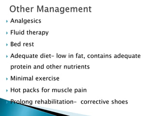  Analgesics
 Fluid therapy
 Bed rest
 Adequate diet– low in fat, contains adequate
protein and other nutrients
 Minimal exercise
 Hot packs for muscle pain
 Prolong rehabilitation– corrective shoes
 