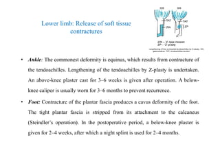 • Ankle: The commonest deformity is equinus, which results from contracture of
the tendoachilles. Lengthening of the tendoachilles by Z-plasty is undertaken.
An above-knee plaster cast for 3–6 weeks is given after operation. A below-
knee caliper is usually worn for 3–6 months to prevent recurrence.
• Foot: Contracture of the plantar fascia produces a cavus deformity of the foot.
The tight plantar fascia is stripped from its attachment to the calcaneus
(Steindler’s operation). In the postoperative period, a below-knee plaster is
given for 2–4 weeks, after which a night splint is used for 2–4 months.
Lower limb: Release of soft tissue
contractures
 