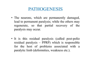 PATHOGENESIS
• The neurons, which are permanently damaged,
lead to permanent paralysis; while the others may
regenerate, so that partial recovery of the
paralysis may occur.
• It is this residual paralysis (called post-polio
residual paralysis – PPRP) which is responsible
for the host of problems associated with a
paralytic limb (deformities, weakness etc.).
 