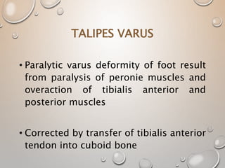 TALIPES VARUS
• Paralytic varus deformity of foot result
from paralysis of peronie muscles and
overaction of tibialis anterior and
posterior muscles
• Corrected by transfer of tibialis anterior
tendon into cuboid bone
 