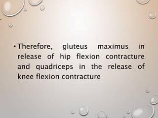 • Therefore, gluteus maximus in
release of hip flexion contracture
and quadriceps in the release of
knee flexion contracture
 