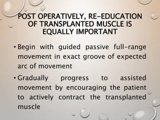 POST OPERATIVELY, RE-EDUCATION
OF TRANSPLANTED MUSCLE IS
EQUALLY IMPORTANT
• Begin with guided passive full-range
movement in exact groove of expected
arc of movement
• Gradually progress to assisted
movement by encouraging the patient
to actively contract the transplanted
muscle
 