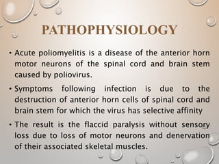 • Acute poliomyelitis is a disease of the anterior horn
motor neurons of the spinal cord and brain stem
caused by poliovirus.
• Symptoms following infection is due to the
destruction of anterior horn cells of spinal cord and
brain stem for which the virus has selective affinity
• The result is the flaccid paralysis without sensory
loss due to loss of motor neurons and denervation
of their associated skeletal muscles.
PATHOPHYSIOLOGY
 