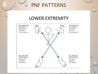 PNF PATTERNS
 