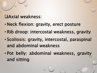 Axial weakness:
• Neck flexion: gravity, erect posture
• Rib droop: intercostal weakness, gravity
• Scoliosis: gravity, intercostal, paraspinal
and abdominal weakness
• Pot belly: abdominal weakness, gravity
and sitting
 