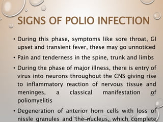• During this phase, symptoms like sore throat, GI
upset and transient fever, these may go unnoticed
• Pain and tenderness in the spine, trunk and limbs
• During the phase of major illness, there is entry of
virus into neurons throughout the CNS giving rise
to inflammatory reaction of nervous tissue and
meninges, a classical manifestation of
poliomyelitis
• Degeneration of anterior horn cells with loss of
nissle granules and the nucleus, which complete
SIGNS OF POLIO INFECTION
 