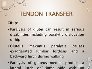 TENDON TRANSFER
Hip:
• Paralysis of glutei can result in serious
disabilities including paralytic dislocation
of hip
• Gluteus maximus paralysis causes
exaggerated lumbar lordosis and a
backward lurch during walking
• Paralysis of gluteus medius produce a
 
