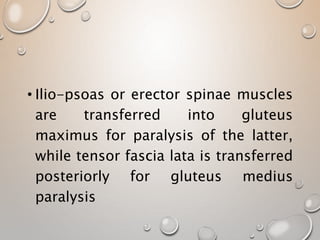 • Ilio-psoas or erector spinae muscles
are transferred into gluteus
maximus for paralysis of the latter,
while tensor fascia lata is transferred
posteriorly for gluteus medius
paralysis
 