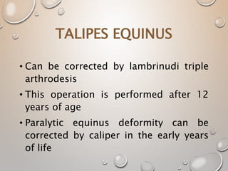 TALIPES EQUINUS
• Can be corrected by lambrinudi triple
arthrodesis
• This operation is performed after 12
years of age
• Paralytic equinus deformity can be
corrected by caliper in the early years
of life
 