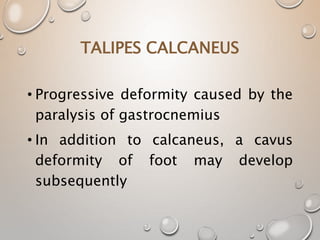 TALIPES CALCANEUS
• Progressive deformity caused by the
paralysis of gastrocnemius
• In addition to calcaneus, a cavus
deformity of foot may develop
subsequently
 