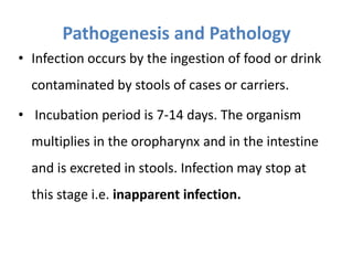 • Infection occurs by the ingestion of food or drink
contaminated by stools of cases or carriers.
• Incubation period is 7-14 days. The organism
multiplies in the oropharynx and in the intestine
and is excreted in stools. Infection may stop at
this stage i.e. inapparent infection.
Pathogenesis and Pathology
 