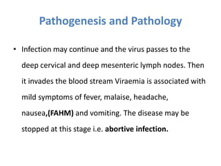 • Infection may continue and the virus passes to the
deep cervical and deep mesenteric lymph nodes. Then
it invades the blood stream Viraemia is associated with
mild symptoms of fever, malaise, headache,
nausea,(FAHM) and vomiting. The disease may be
stopped at this stage i.e. abortive infection.
Pathogenesis and Pathology
 