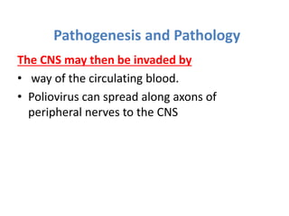 Pathogenesis and Pathology
The CNS may then be invaded by
• way of the circulating blood.
• Poliovirus can spread along axons of
peripheral nerves to the CNS
 