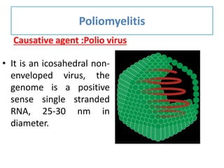 Causative agent :Polio virus
Poliomyelitis
• It is an icosahedral non-
enveloped virus, the
genome is a positive
sense single stranded
RNA, 25-30 nm in
diameter.
 