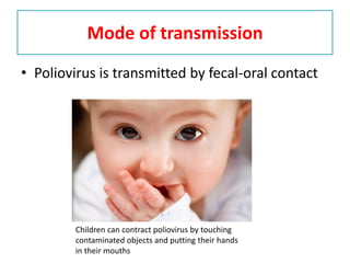 Mode of transmission
• Poliovirus is transmitted by fecal-oral contact
Children can contract poliovirus by touching
contaminated objects and putting their hands
in their mouths
 