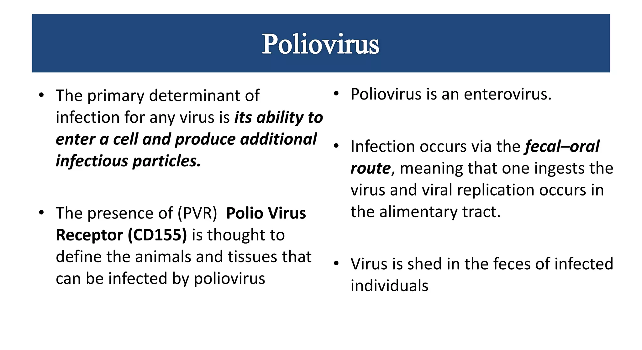 • The primary determinant of
infection for any virus is its ability to
enter a cell and produce additional
infectious particles.
• The presence of (PVR) Polio Virus
Receptor (CD155) is thought to
define the animals and tissues that
can be infected by poliovirus
• Poliovirus is an enterovirus.
• Infection occurs via the fecal–oral
route, meaning that one ingests the
virus and viral replication occurs in
the alimentary tract.
• Virus is shed in the feces of infected
individuals
 