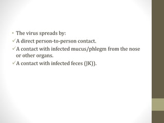 • The virus spreads by:
A direct person-to-person contact.
A contact with infected mucus/phlegm from the nose
or other organs.
A contact with infected feces (JK)).
 