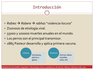 Polio, Rabia, Tétanos | PPTX