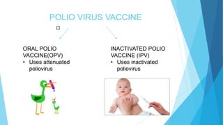 POLIO VIRUS VACCINE
︎
ORAL POLIO
VACCINE(OPV)
• Uses attenuated
poliovirus
INACTIVATED POLIO
VACCINE (IPV)
• Uses inactivated
poliovirus
 