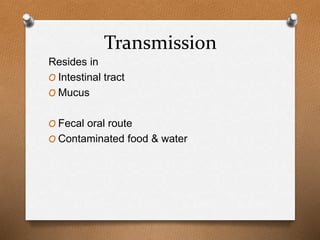 Transmission
Resides in
O Intestinal tract
O Mucus
O Fecal oral route
O Contaminated food & water