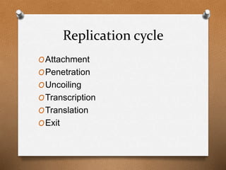 Replication cycle
OAttachment
OPenetration
OUncoiling
OTranscription
OTranslation
OExit
