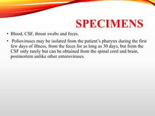 SPECIMENS
• Blood, CSF, throat swabs and feces.
• Polioviruses may be isolated from the patient’s pharynx during the first
few days of illness, from the feces for as long as 30 days, but from the
CSF only rarely but can be obtained from the spinal cord and brain,
postmortem unlike other enteroviruses.
 