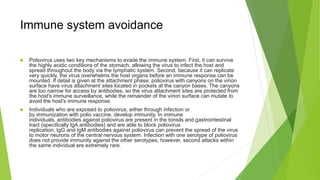 Immune system avoidance
 Poliovirus uses two key mechanisms to evade the immune system. First, it can survive
the highly acidic conditions of the stomach, allowing the virus to infect the host and
spread throughout the body via the lymphatic system. Second, because it can replicate
very quickly, the virus overwhelms the host organs before an immune response can be
mounted. If detail is given at the attachment phase; poliovirus with canyons on the virion
surface have virus attachment sites located in pockets at the canyon bases. The canyons
are too narrow for access by antibodies, so the virus attachment sites are protected from
the host's immune surveillance, while the remainder of the virion surface can mutate to
avoid the host's immune response.
 Individuals who are exposed to poliovirus, either through infection or
by immunization with polio vaccine, develop immunity. In immune
individuals, antibodies against poliovirus are present in the tonsils and gastrointestinal
tract (specifically IgA antibodies) and are able to block poliovirus
replication; IgG and IgM antibodies against poliovirus can prevent the spread of the virus
to motor neurons of the central nervous system. Infection with one serotype of poliovirus
does not provide immunity against the other serotypes; however, second attacks within
the same individual are extremely rare.
 