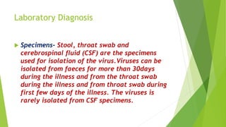 Laboratory Diagnosis
 Specimens- Stool, throat swab and
cerebrospinal fluid (CSF) are the specimens
used for isolation of the virus.Viruses can be
isolated from faeces for more than 30days
during the illness and from the throat swab
during the illness and from throat swab during
first few days of the illness. The viruses is
rarely isolated from CSF specimens.
 