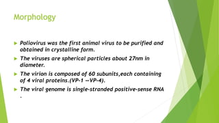 Morphology
 Poliovirus was the first animal virus to be purified and
obtained in crystalline form.
 The viruses are spherical particles about 27nm in
diameter.
 The virion is composed of 60 subunits,each containing
of 4 viral proteins.(VP-1 —VP-4).
 The viral genome is single-stranded positive-sense RNA
.
 