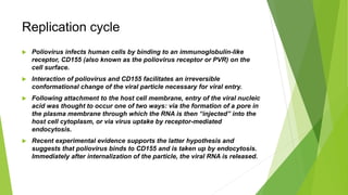 Replication cycle
 Poliovirus infects human cells by binding to an immunoglobulin-like
receptor, CD155 (also known as the poliovirus receptor or PVR) on the
cell surface.
 Interaction of poliovirus and CD155 facilitates an irreversible
conformational change of the viral particle necessary for viral entry.
 Following attachment to the host cell membrane, entry of the viral nucleic
acid was thought to occur one of two ways: via the formation of a pore in
the plasma membrane through which the RNA is then “injected” into the
host cell cytoplasm, or via virus uptake by receptor-mediated
endocytosis.
 Recent experimental evidence supports the latter hypothesis and
suggests that poliovirus binds to CD155 and is taken up by endocytosis.
Immediately after internalization of the particle, the viral RNA is released.
 